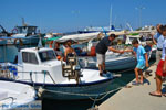 JustGreece.com Marmari Euboea | Greece | Photo 20 - Foto van JustGreece.com