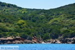 JustGreece.com Petali Euboea Eilanden | Marmari Euboea | Photo 1 - Foto van JustGreece.com