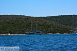 Petali Euboea Eilanden | Marmari Euboea | Photo 6 - Photo JustGreece.com