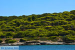 JustGreece.com Petali Euboea Eilanden | Marmari Euboea | Photo 8 - Foto van JustGreece.com