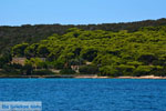 JustGreece.com Petali Euboea Eilanden | Marmari Euboea | Photo 22 - Foto van JustGreece.com