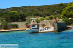 JustGreece.com Petali Euboea Eilanden | Marmari Euboea | Photo 25 - Foto van JustGreece.com