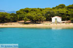 Petali Euboea Eilanden | Marmari Euboea | Photo 34 - Photo JustGreece.com