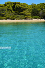 JustGreece.com Petali Euboea Eilanden | Marmari Euboea | Photo 35 - Foto van JustGreece.com