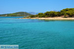 Petali Euboea Eilanden | Marmari Euboea | Photo 38 - Photo JustGreece.com