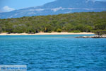 JustGreece.com Petali Euboea Eilanden | Marmari Euboea | Photo 41 - Foto van JustGreece.com