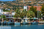 JustGreece.com Marmari Euboea | Greece | Photo 39 - Foto van JustGreece.com