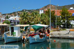 Marmari Euboea | Greece | Photo 42 - Photo JustGreece.com