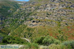 Aghios Dimitrios Euboea | Greece | Photo 6 - Photo JustGreece.com