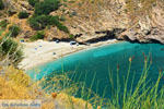 Aghios Dimitrios Euboea | Greece | Photo 15 - Photo JustGreece.com