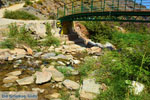 Aghios Dimitrios Euboea | Greece | Photo 48 - Photo JustGreece.com