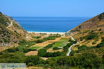 Giannitsi Euboea | Greece | Photo 2 - Photo JustGreece.com
