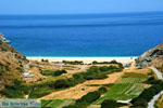 Giannitsi Euboea | Greece | Photo 3 - Photo JustGreece.com