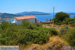 Marmari Euboea | Greece | Photo 44 - Photo JustGreece.com