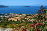 Marmari Euboea | Greece | Photo 55 - Photo JustGreece.com
