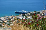 JustGreece.com Marmari Euboea | Greece | Photo 58 - Foto van JustGreece.com