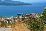 JustGreece.com Marmari Euboea | Greece | Photo 59 - Foto van JustGreece.com