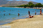 Karystos Euboea | Greece | Photo 78 - Photo JustGreece.com