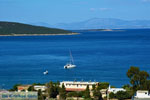 JustGreece.com Marmari Euboea | Greece | Photo 64 - Foto van JustGreece.com