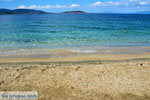 beach Kokkini | Marmari Euboea | Greece Photo 8 - Photo JustGreece.com