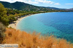 beach Kokkini | Marmari Euboea | Greece Photo 17 - Photo JustGreece.com