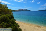 beach Kokkini | Marmari Euboea | Greece Photo 20 - Photo JustGreece.com