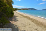 beach Kokkini | Marmari Euboea | Greece Photo 27 - Photo JustGreece.com