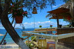 beach Kokkini | Marmari Euboea | Greece Photo 37 - Photo JustGreece.com