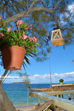 beach Kokkini | Marmari Euboea | Greece Photo 38 - Photo JustGreece.com