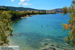 beach Kavos | Marmari Euboea | Greece Photo 5 - Photo JustGreece.com