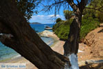 JustGreece.com beach Kavos | Marmari Euboea | Greece Photo 9 - Foto van JustGreece.com