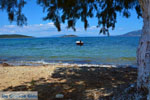 beach Marmari Euboea | Greece | Photo 1 - Photo JustGreece.com