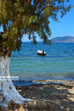 beach Marmari Euboea | Greece | Photo 5 - Photo JustGreece.com
