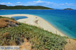 JustGreece.com Near Golden beach Euboea | Marmari Euboea | Greece Photo 20 - Foto van JustGreece.com