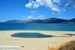 JustGreece.com Near Golden beach Euboea | Marmari Euboea | Greece Photo 35 - Foto van JustGreece.com