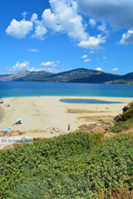 Near Golden beach Euboea | Marmari Euboea | Greece Photo 42 - Photo JustGreece.com