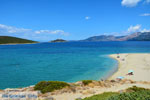 JustGreece.com Near Golden beach Euboea | Marmari Euboea | Greece Photo 46 - Foto van JustGreece.com