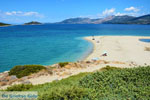 Near Golden beach Euboea | Marmari Euboea | Greece Photo 47 - Photo JustGreece.com