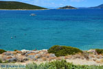 JustGreece.com Near Golden beach Euboea | Marmari Euboea | Greece Photo 53 - Foto van JustGreece.com