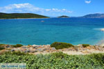 Near Golden beach Euboea | Marmari Euboea | Greece Photo 54 - Photo JustGreece.com