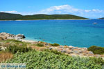 JustGreece.com Near Golden beach Euboea | Marmari Euboea | Greece Photo 59 - Foto van JustGreece.com