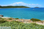 JustGreece.com Near Golden beach Euboea | Marmari Euboea | Greece Photo 60 - Foto van JustGreece.com