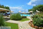 Hotel Marmari Bay | Marmari Euboea | Greece Photo 16 - Photo JustGreece.com