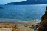 Likorema Euboea | Greece | Photo 29 - Photo JustGreece.com