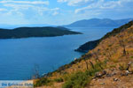 Likorema Euboea | Greece | Photo 33 - Photo JustGreece.com