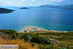 Near Golden beach Euboea | Marmari Euboea | Greece Photo 63 - Photo JustGreece.com