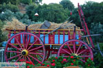 Paradisi Euboea | Greece | Photo 4 - Photo JustGreece.com