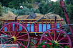 Paradisi Euboea | Greece | Photo 5 - Photo JustGreece.com