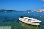Marmari Euboea | Greece | Photo 72 - Photo JustGreece.com