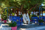 Marmari Euboea | Greece | Photo 80 - Photo JustGreece.com